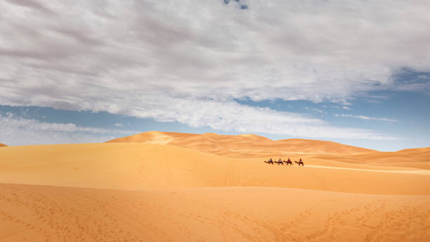 camel train sahara deserto dune di sabbia panorama erg chebbi marocco - great sand sea foto e immagini stock