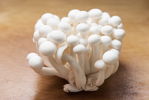 White mushroom close-up