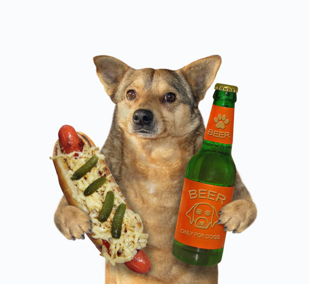 istock Dog likes beer with hot dog 2 1222730961
