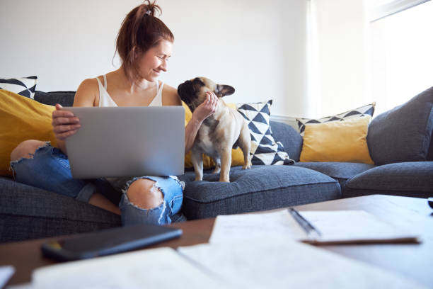 istock Female working on laptop with pet dog on sofa 1222731716