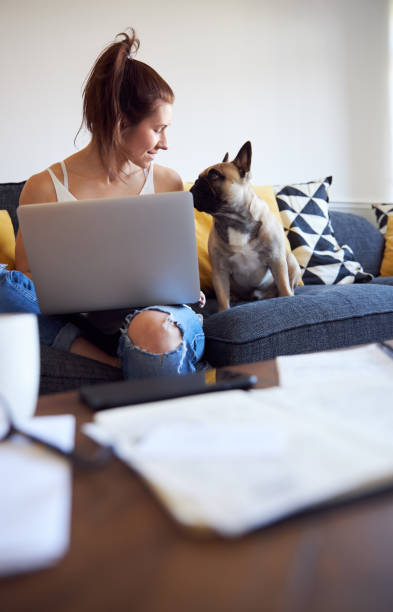 Female working on laptop with pet dog on sofa