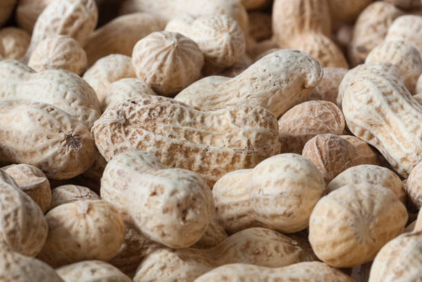 istock Closed up of peanuts in shell 1222732526