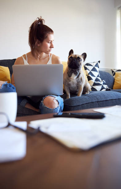 istock Female working on laptop with pet dog on sofa 1222732557