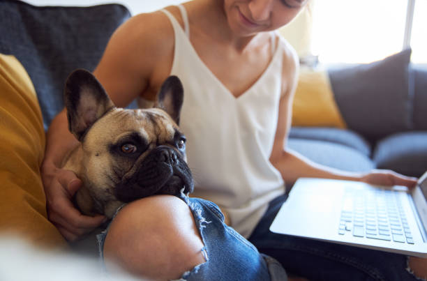 istock Anonymous young female working on sofa with pet dog 1222732771