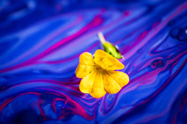 Abstract color image depicting blue and purple paint forming a swirl pattern in water.
