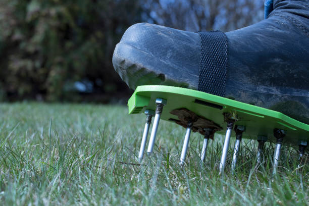 istock Garden aerator with spikes on the foot 1222736145