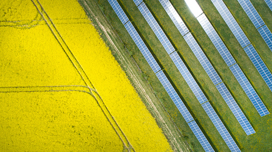 Canola fields and solar power plant in springtime - aerial view