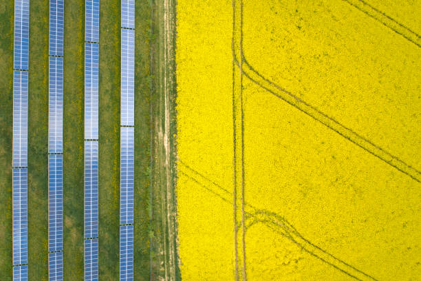 istock Canola fields and solar power plant in springtime - aerial view 1222737014