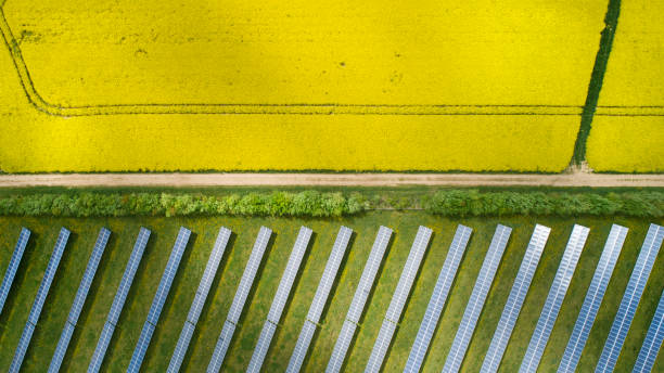 istock Canola fields and solar power plant in springtime - aerial view 1222737087