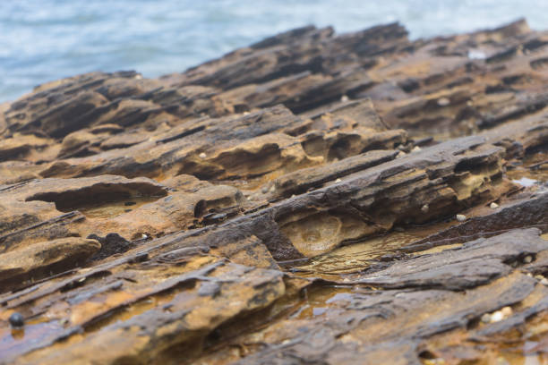 Close up photo of beach rocks
