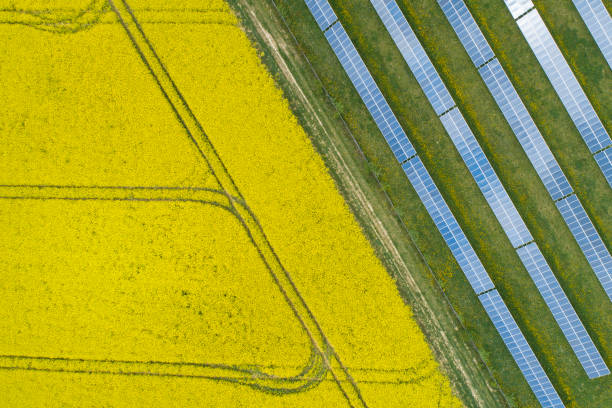 istock Canola fields and solar power plant in springtime - aerial view 1222737251