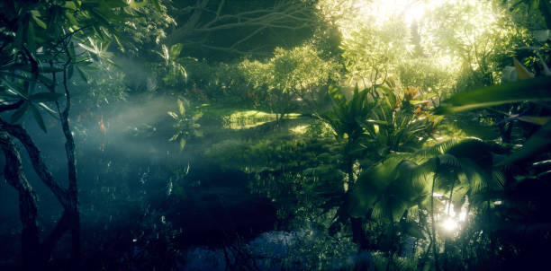 Jungle paradise concept. Deep and dense rainforest vegetation with pond and beautiful sunlight. 3d rendering. Jungle paradise concept. Deep and dense rainforest vegetation with pond and beautiful sunlight. 3d rendering. amazon river stock pictures, royalty-free photos & images