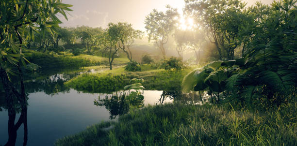 paisaje verde fresco paradisíaco - entorno de selva tropical amazónica con río tranquilo en la hermosa luz de la puesta de sol. renderizado 3d. - selva tropical fotografías e imágenes de stock