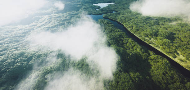 istock Aerial view of a dense amazonian rainforest with river. 3d rendering. 1222738870