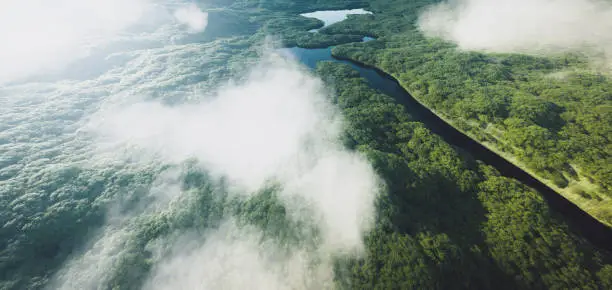 Photo of Aerial view of a dense amazonian rainforest with river. 3d rendering.