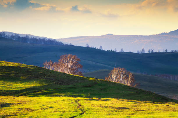 Beautiful sunset in the mountains. Fresh green grass on the hills. Spring nature landscape.