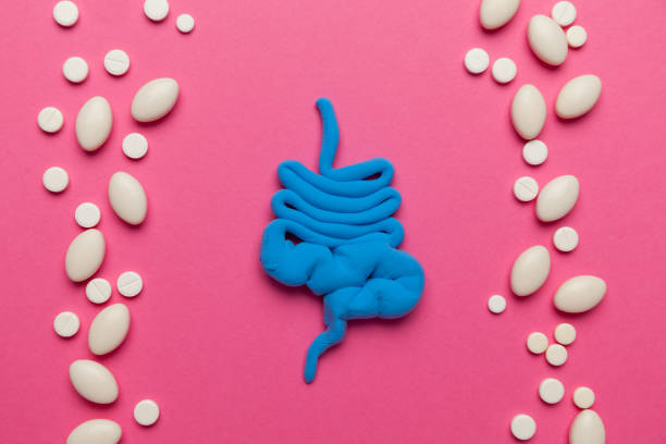 istock Human intestines, constipation and digestive problems. Treatment with probiotics, bowel irritation 1222739609