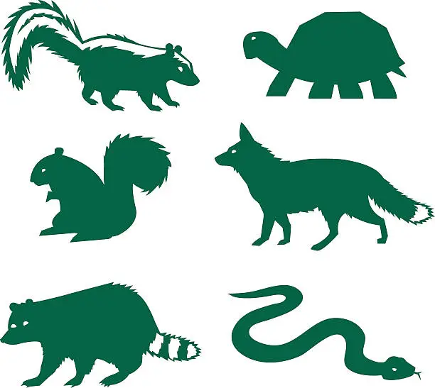 Vector illustration of Vector illustration of forest animals