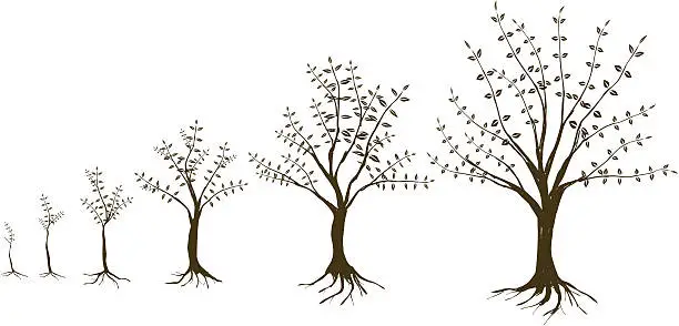 Vector illustration of growing trees