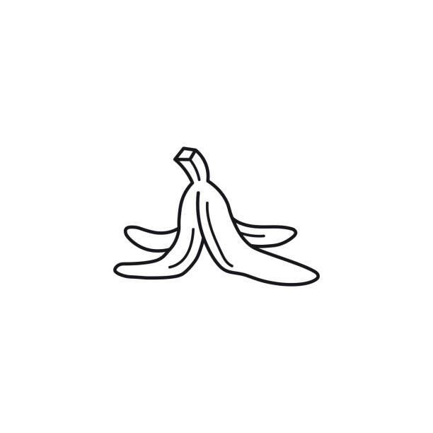 Banana skin vector line icon vector art illustration