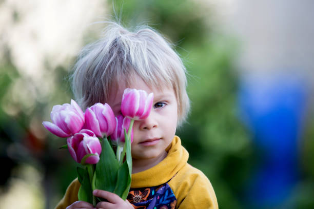 ребенок, мальчик проведения розовые тюльпаны , прячась за ними, матери день концепции - mothers day tulip yellow greeting card стоковые фото и изображения