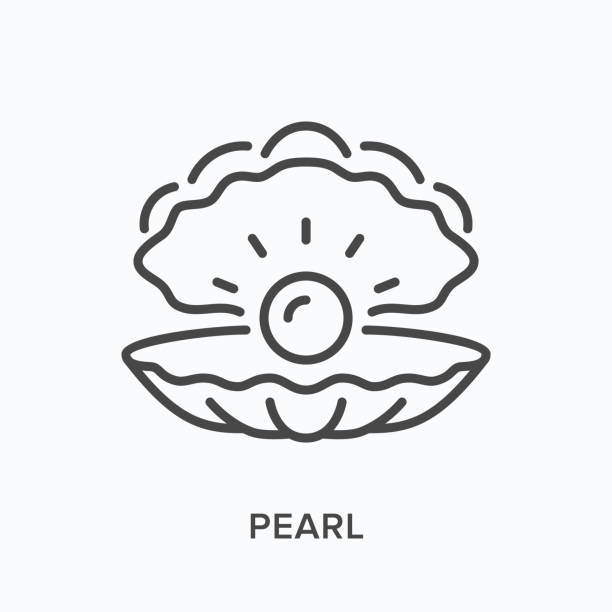 illustrations, cliparts, dessins animés et icônes de icône de ligne de perle. illustration de plan de vecteur de la coquille de mer. pictorgam de palourde marine - clam