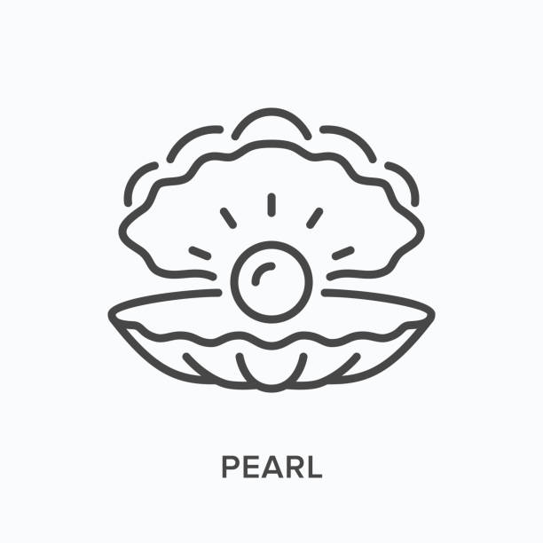 ilustrações, clipart, desenhos animados e ícones de ícone da linha pearl. ilustração do contorno vetorial da concha do mar. pictorgam de molusco marinho - pérolas