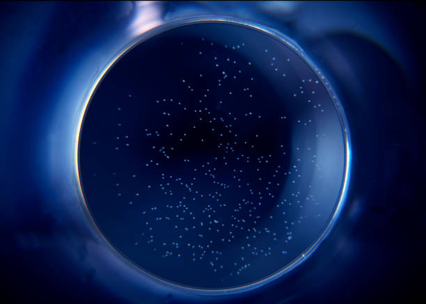 Abstract circle on a dark blue background. Blue hole in the dark.