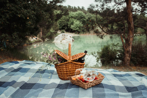 picnic picnic on the lake in the mountains picnic photos stock pictures, royalty-free photos & images