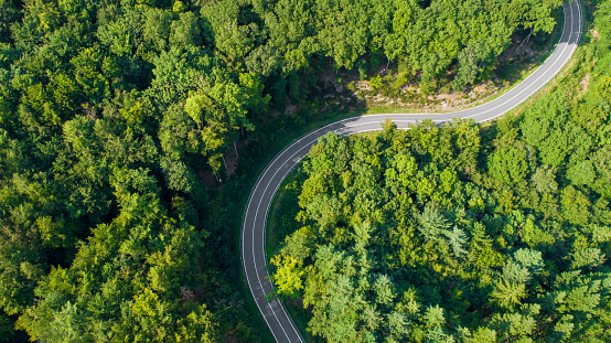 Winding road through the forest - aerial view