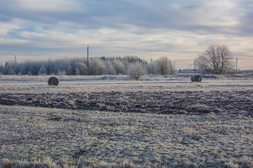 Sunrise in the fields in winter