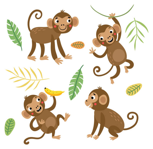 Cartoon Characters Monkey Ape Illustrations, Royalty-Free Vector Graphics &  Clip Art - iStock