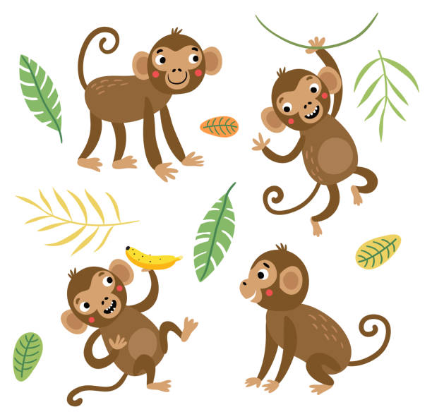 Cartoon Characters Monkey Ape Illustrations, Royalty-Free Vector Graphics & Clip Art - iStock Cartoon Characters Monkey Ape Illustrations, Royalty-Free Vector Graphics & Clip Art - iStock