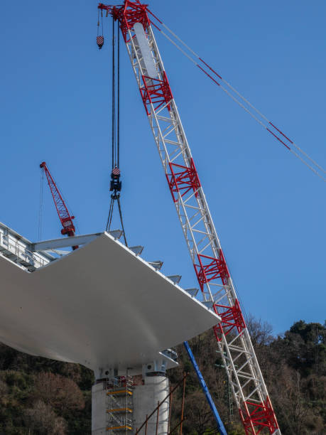 istock the crane holds the span 1222756371