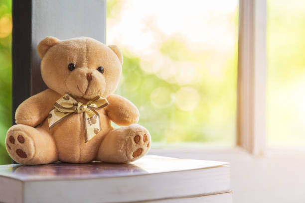 istock Close up lovely teddy bear sitting on stack of book learning window frame with green nature background. 1222756693