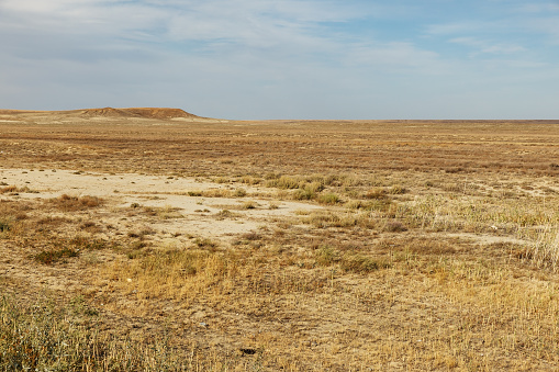 empty steppe in Kazakhstan. Dry grass in the autumn steppe. Landscape.