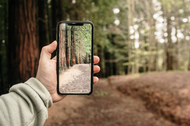 istock Taking a picture with a smartphone 1222759812