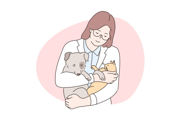 illustrations, cliparts, dessins animés et icônes de soins aux animaux, médecine, vétérinaire, concept d’examen - dog domestic cat pets women