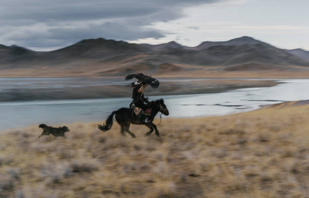 istock Eagle hunter and the dog near the river in Mongolia 1222763036