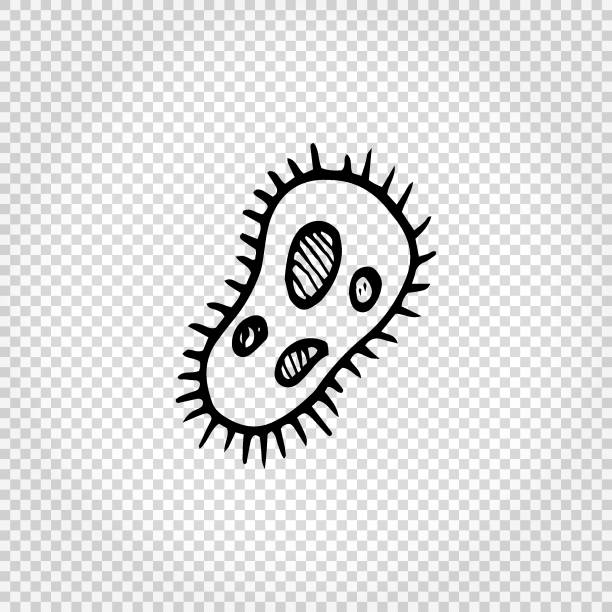 Cell plant, doodle icon. Simple hand drawn vector illustration. Cell plant, doodle icon. Simple hand drawn vector illustration. lysosome drawing stock illustrations