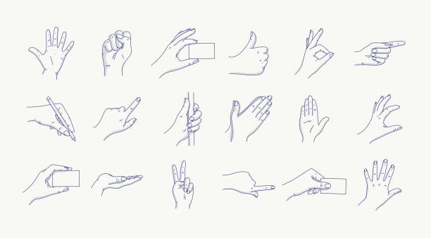 ilustraciones, imágenes clip art, dibujos animados e iconos de stock de conjunto de iconos de línea de gestos de mano. iconos incluidos como interacción de los dedos, punto de dedo índice, saludo, pellizco, ayuda, lavado de manos y más - hand drawing