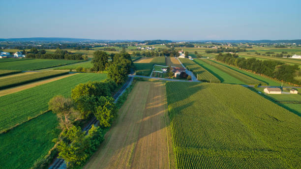 istock Aerial view of farm lands and corn crop 1222765596