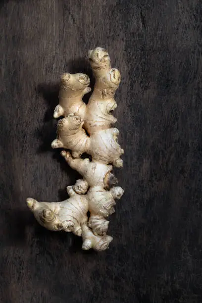Photo of Fresh organic ginger root on dark old rustic background with copyspace.