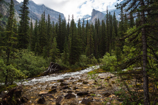 istock lake Moraine, Banff National Park, Alberta, Canada 1222766507