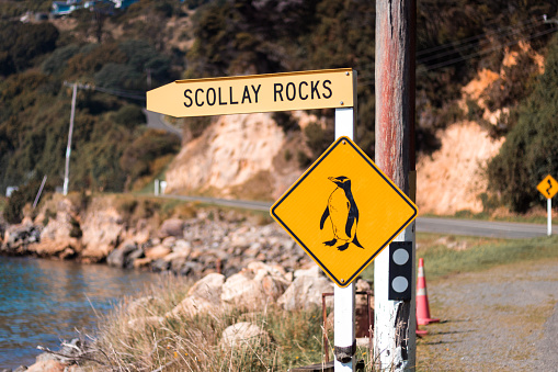 Penguin road warning sign, Stewart island, New Zealand