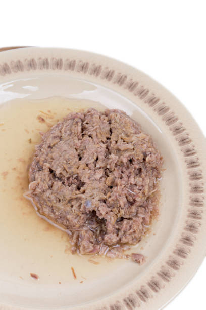 istock Canned tuna served on a plate 1222768737