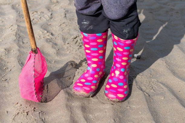 istock Little girl on a beach with a net 1222769495