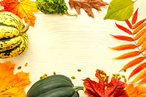 istock Autumn colorful leaves frame background, copy space, space for text. Thanksgiving concept. 1222769877