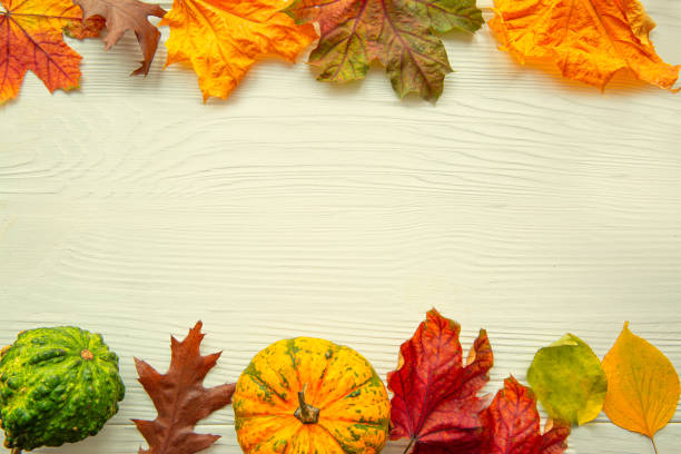 istock Autumn colorful leaves frame background, copy space, space for text. Thanksgiving concept. 1222770354