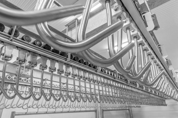 istock Industrial loading dock area inside cold storage warehouse. Meat hanging hooks hanging on the rail system. 1222773805